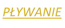 PYWANIE